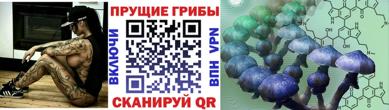 Псилоцибиновые грибы ЛСД  Костерёво 
